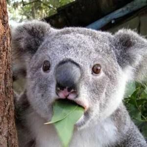 Meet your Posher, Monique